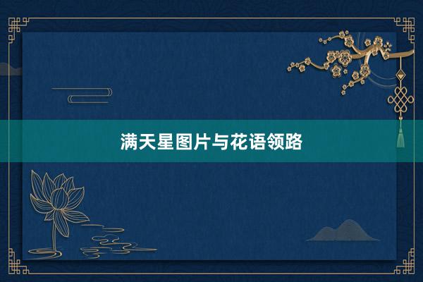 满天星图片与花语领路