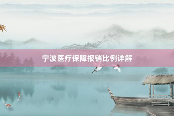 宁波医疗保障报销比例详解