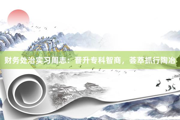 财务处治实习周志：晋升专科智商，荟萃抓行陶冶